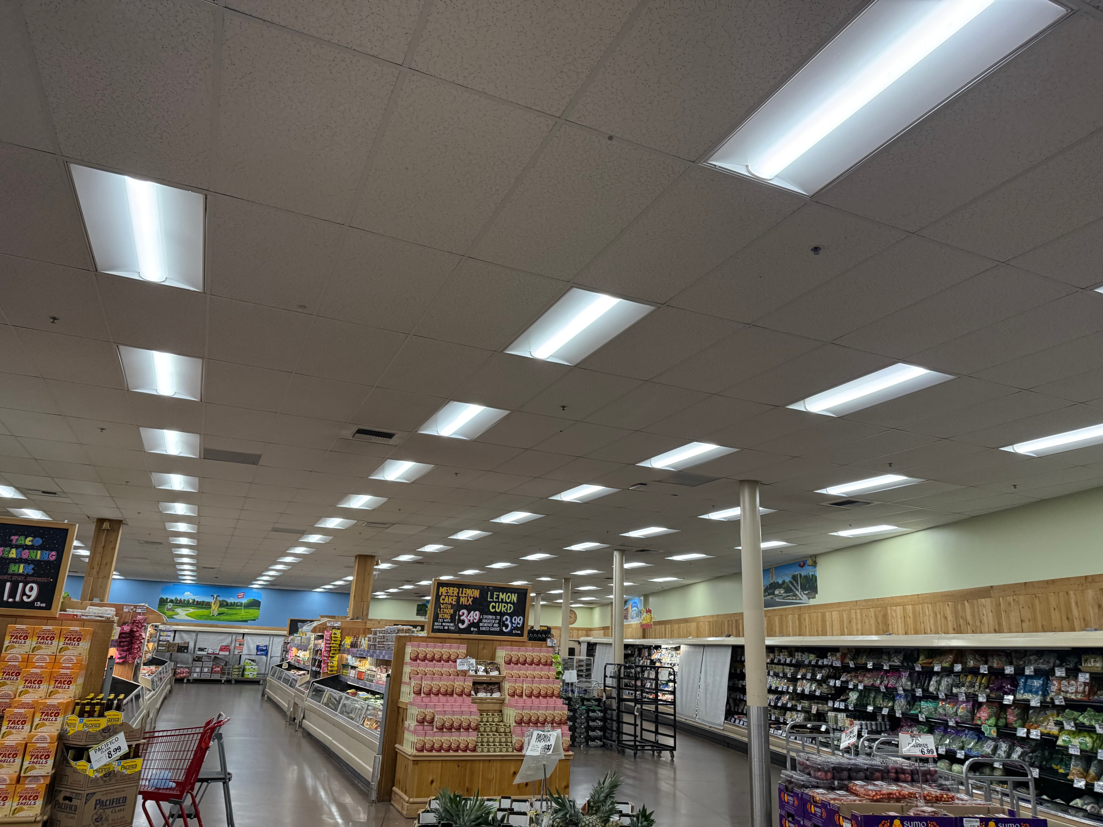 Grocery Store Cleaning & Ceiling Tiles
