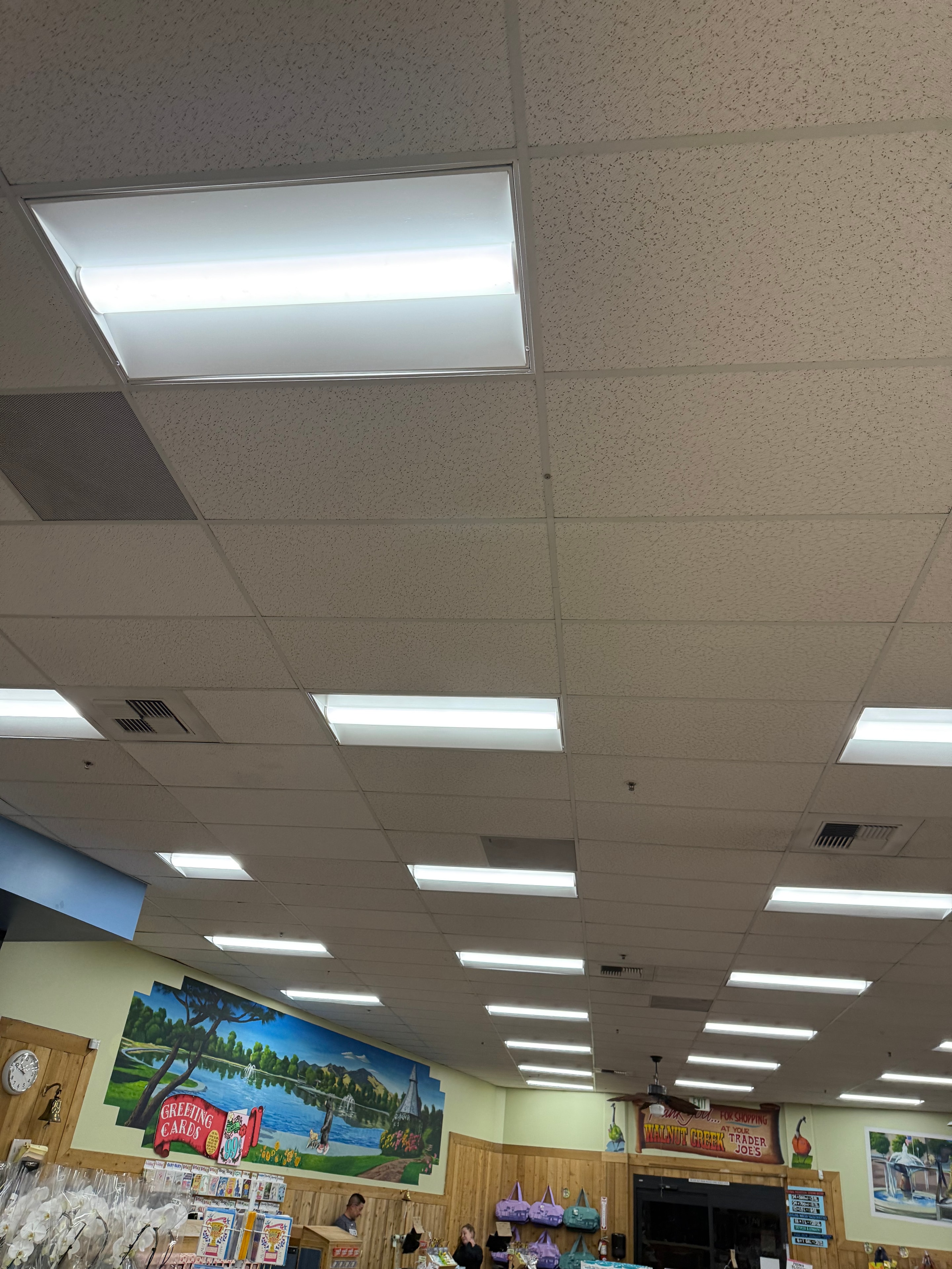 Retail Ceiling Panel Lighting